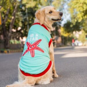 Maglietta classica per cani